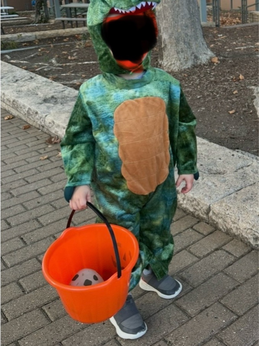 Green Turtle Kids Costume with Brown Shell Hooded Jumpsuit